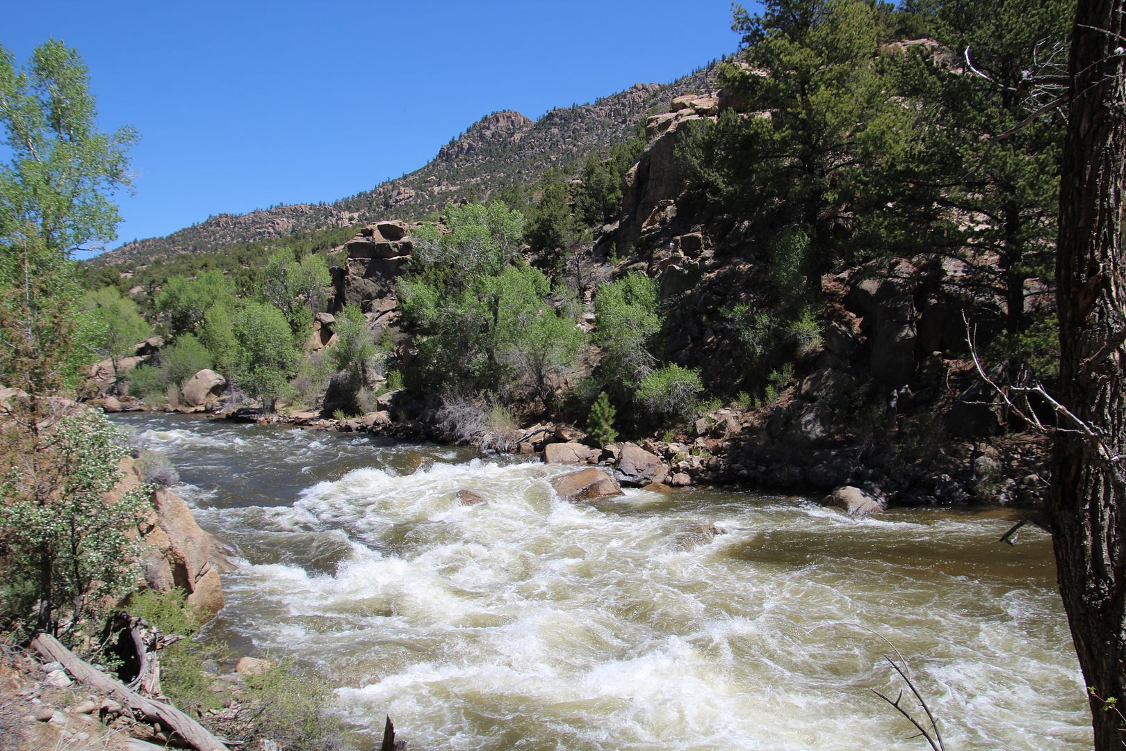 Winds of Destiny RVLife A Walk in Buena Vista River Park, 5/16/2018